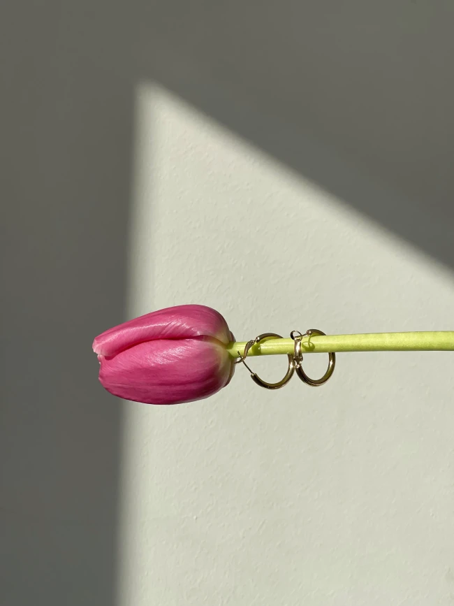 Фото товара 1